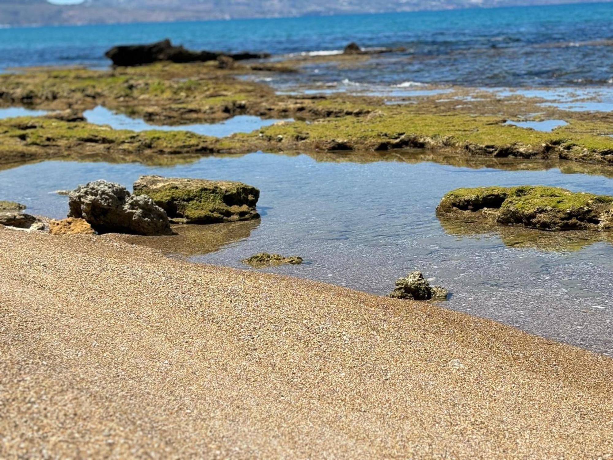 Lu Mari Case Vacanze Balestrate Luaran gambar